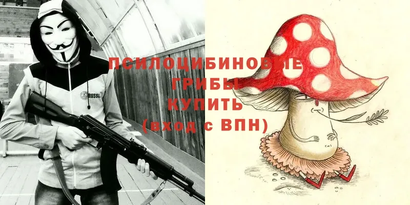 Галлюциногенные грибы MAGIC MUSHROOMS  Волоколамск 